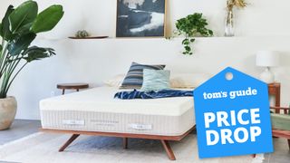 Presidents Day mattress sale