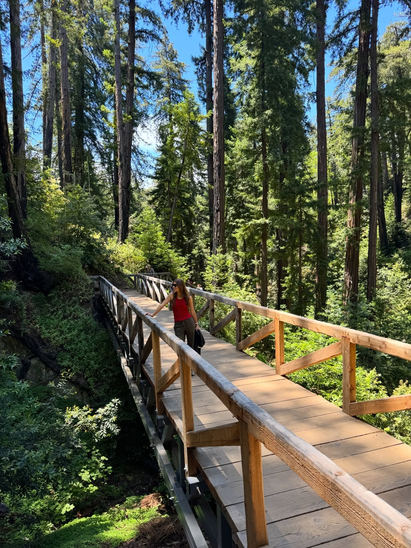 Judith Jones at Pfeiffer Big Sur State Park