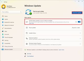 Windows 11 update settings