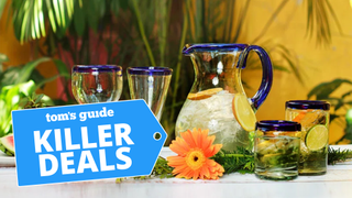 Blue-rimmed glass pitchers and glasses on outdoor table with flowers