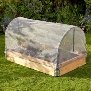 small grow tunnel for growing fruit and veg