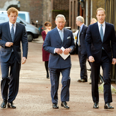 Prince Harry King Charles and Prince William reunion this summer