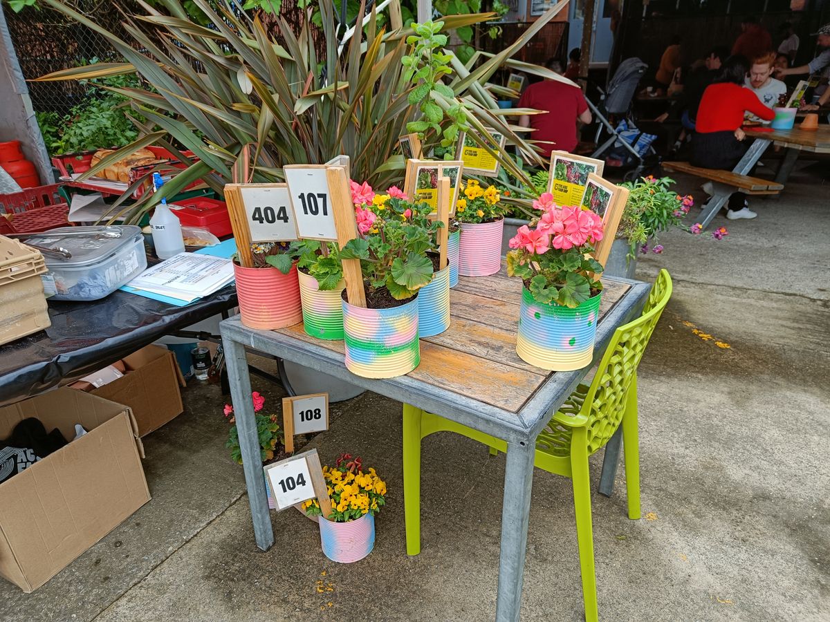 OnePlus Nord 2T camera sample