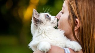Woman kissing ragdoll kitten
