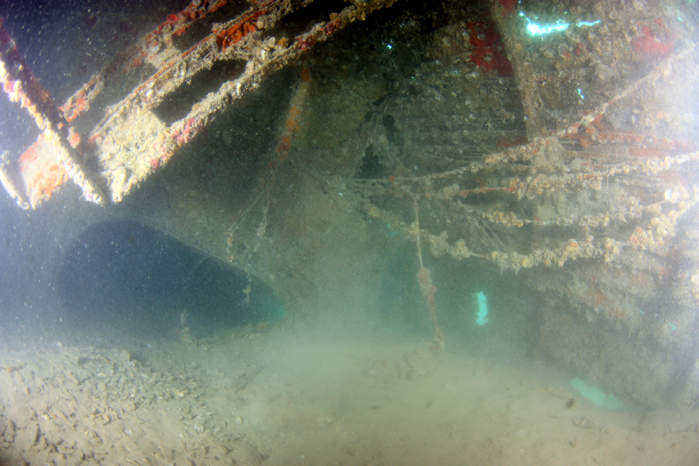 Lost in Pearl Harbor: Photos of Sunken WWII-Era Navy Plane | Live Science