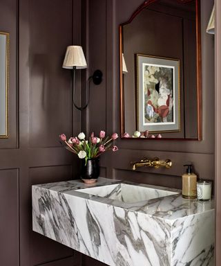 Brown paneled powder room with marble sink