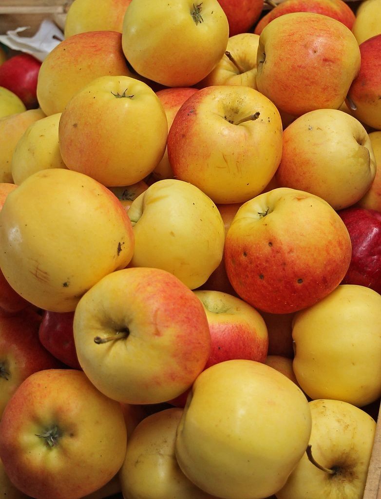 Pile Of Yellow-Red Sansa Apples