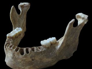 DNA from this 40,000-year-old modern human jawbone reveals the man had a Neanderthal ancestor as recently as four to six generations ago.