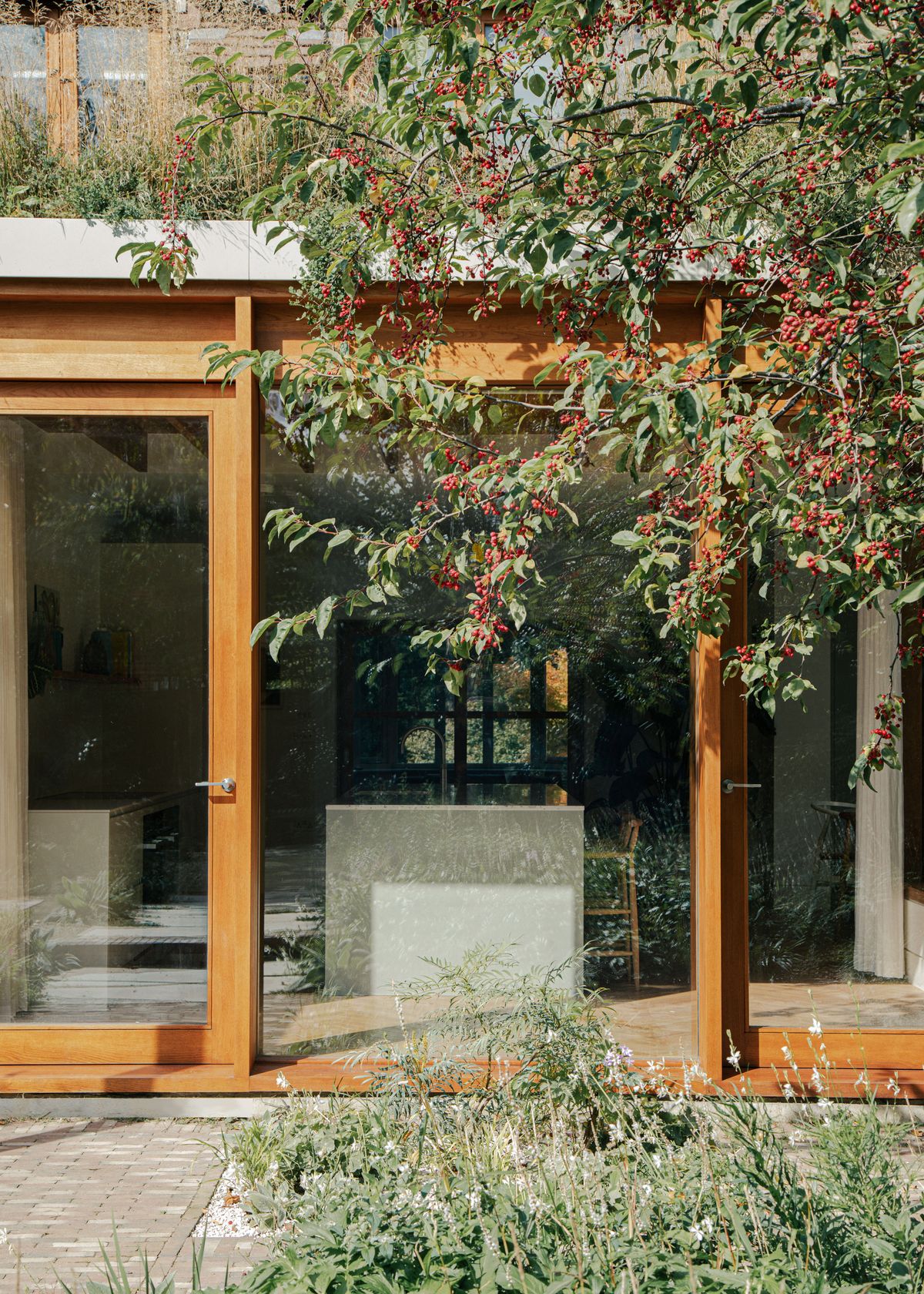 A green roof next to a tree above a timber extension