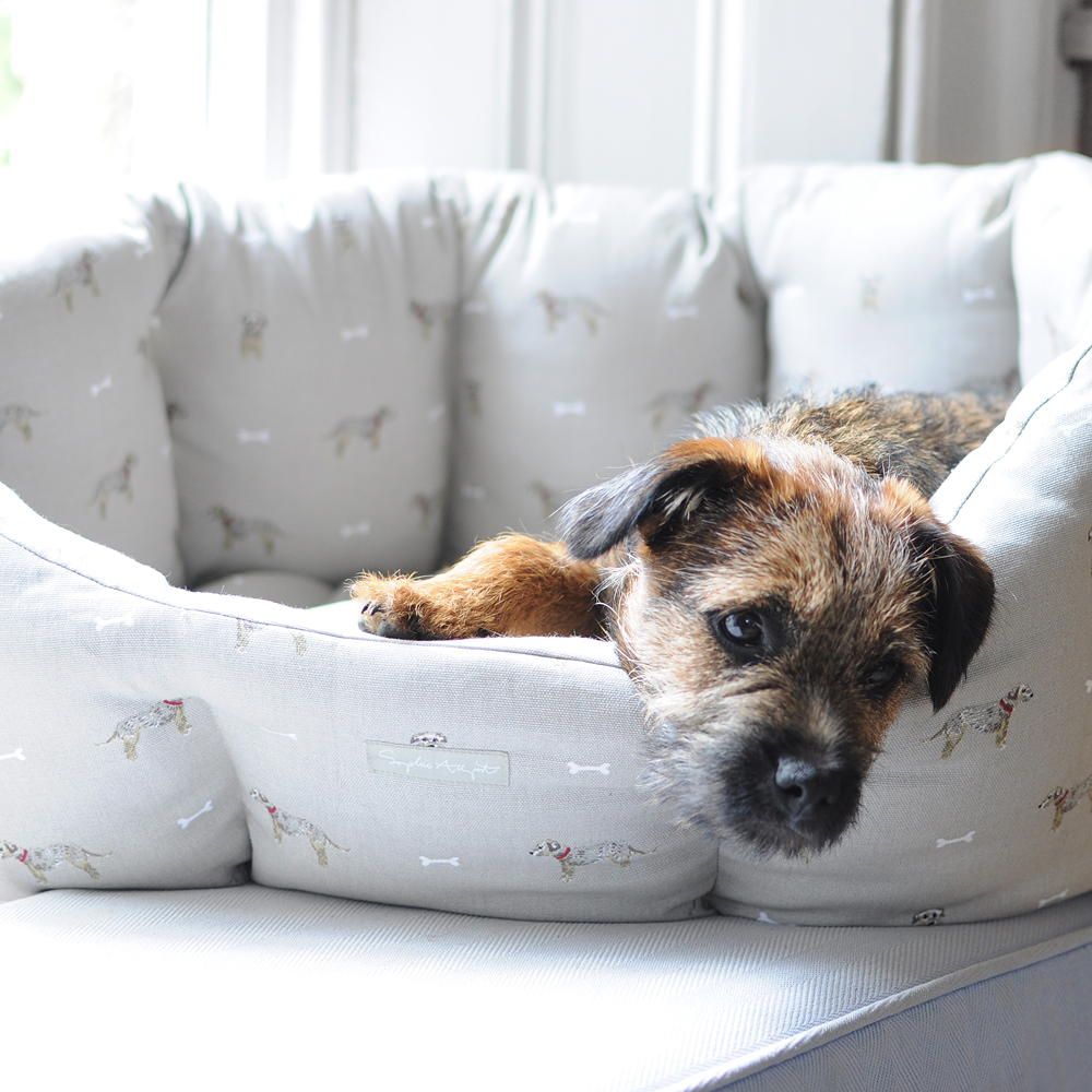 Is All Zoflora Pet Safe at Jeffrey Welch blog