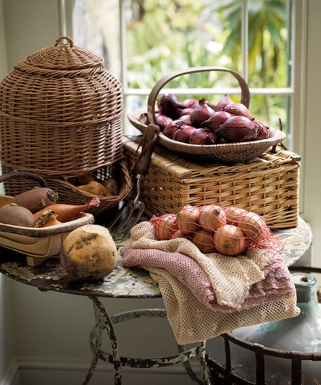 How to grow vegetables