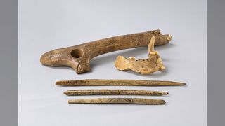 Around 19,000-14,000 years ago, the Magdalenian culture was spread over vast parts of Europe. This human jaw, bones, and antler artefacts, were found in the Maszycka Cave in the south of Poland.