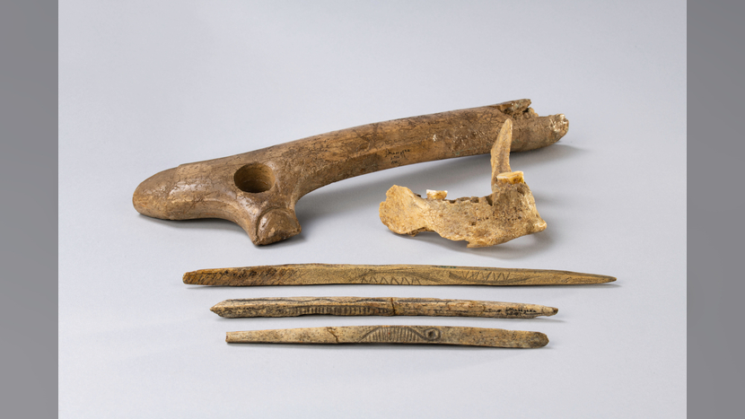 Il y a environ 19 000 à 14 000 ans, la culture magdalénienne s'est répandue dans de vastes régions d'Europe.  Ces artefacts de mâchoire, d'os et de bois humains ont été trouvés dans la grotte de Maszycka, dans le sud de la Pologne.