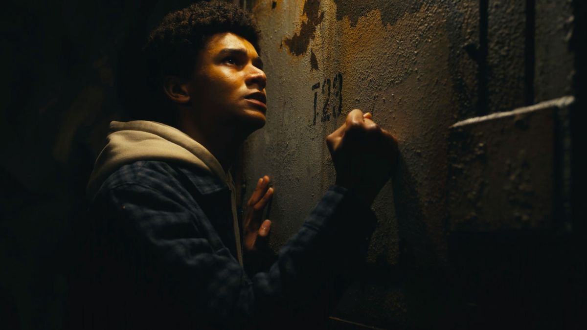 Prime Video does a Netflix, cancels three shows - one with 100% Rotten Tomatoes score