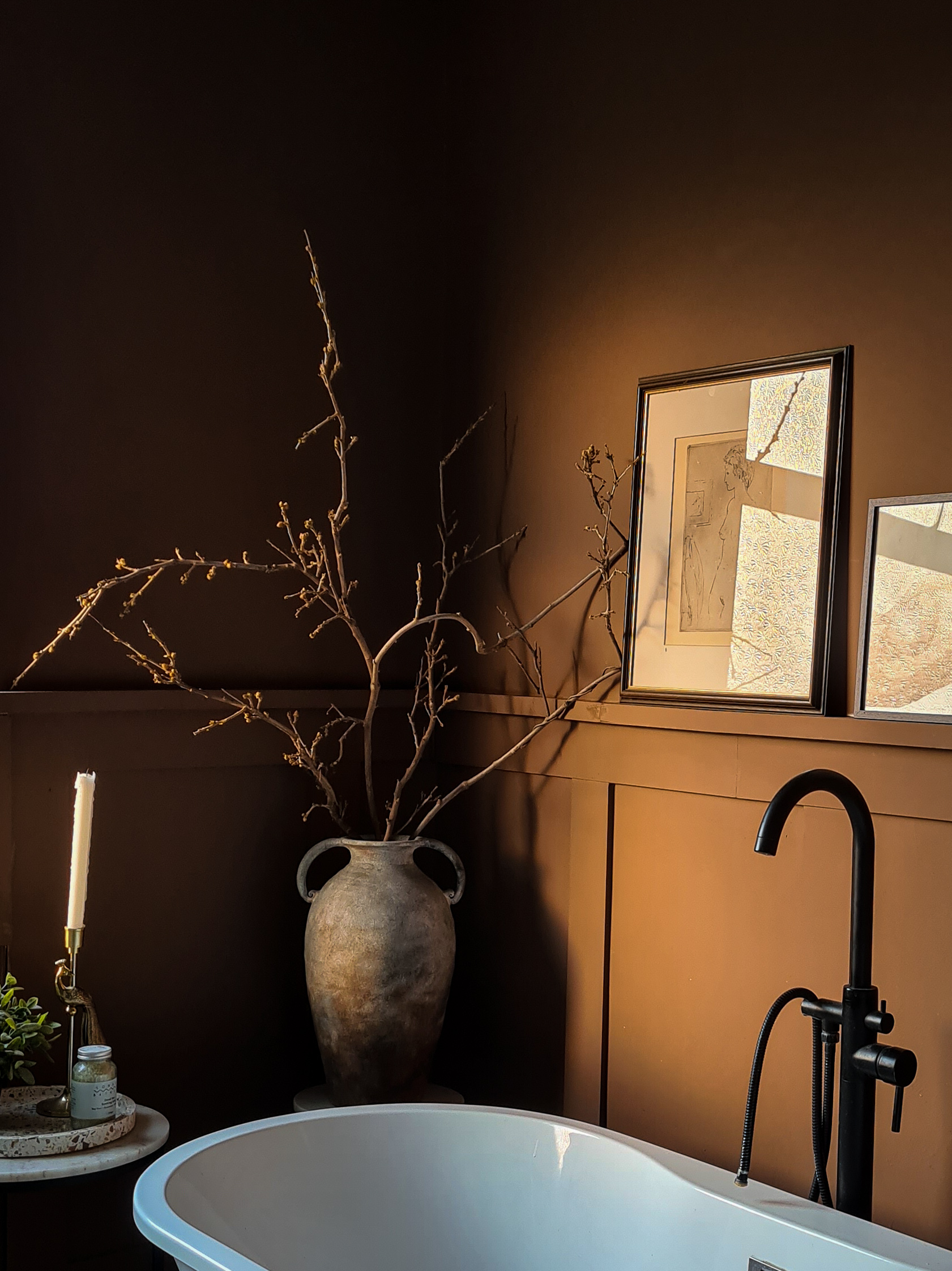 Brown bathroom with prints on dada rail