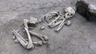 A skeleton buried at a Neolithic site 