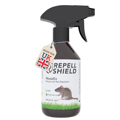 Repellshield Rat & Mouse Repellent Spray - Peppermint Oil, Natural & Humane Deterrent, Protect Homes, Garages & Gardens, Stop Nesting Indoors & Outdoors, Made in Germany, Family & Pet Safe - 250ml : Amazon.co.uk: Garden