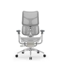 Sihoo Doro S300 Office Chair: was $799 now $599 @ Amazon