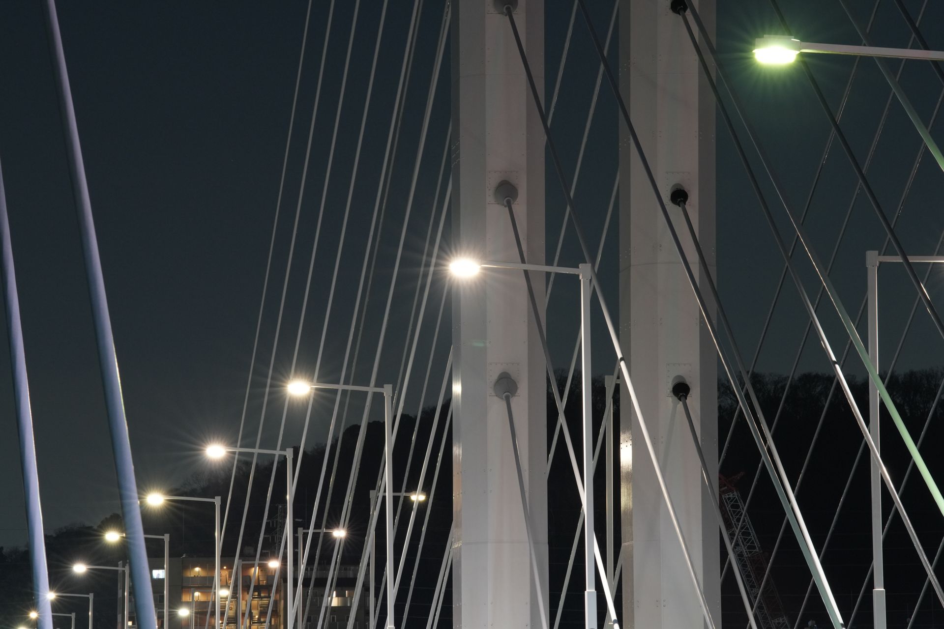 Sample image taken with Sony FE 70-200mm f/2.8 GM OSS II for comparison with the Nikon Z 70-200mm f/2.8 VR S II image