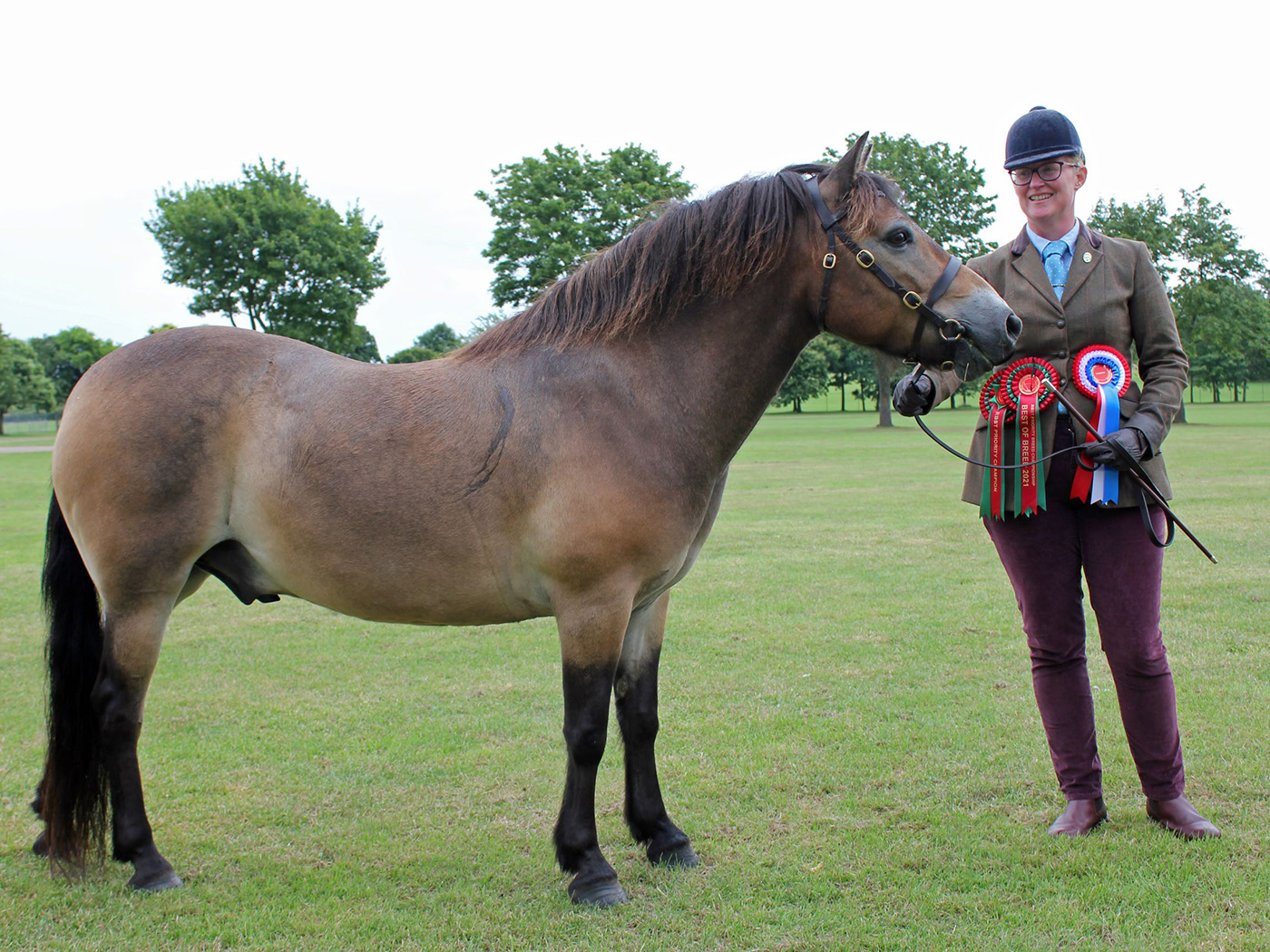 RBST-Priority-Breed-Champion-Threeshires-Edgar.jpg