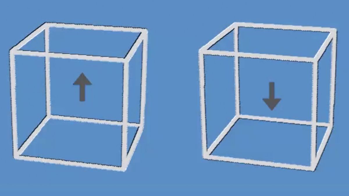 This optical illusion appears to be 3D but it's actually something
