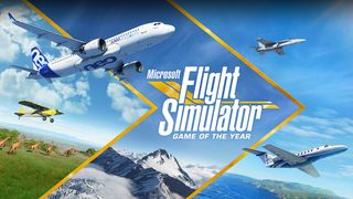 Microsoft Flight Simulator