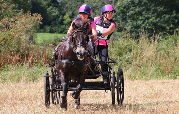 Paula Kay’s driving Exmoor