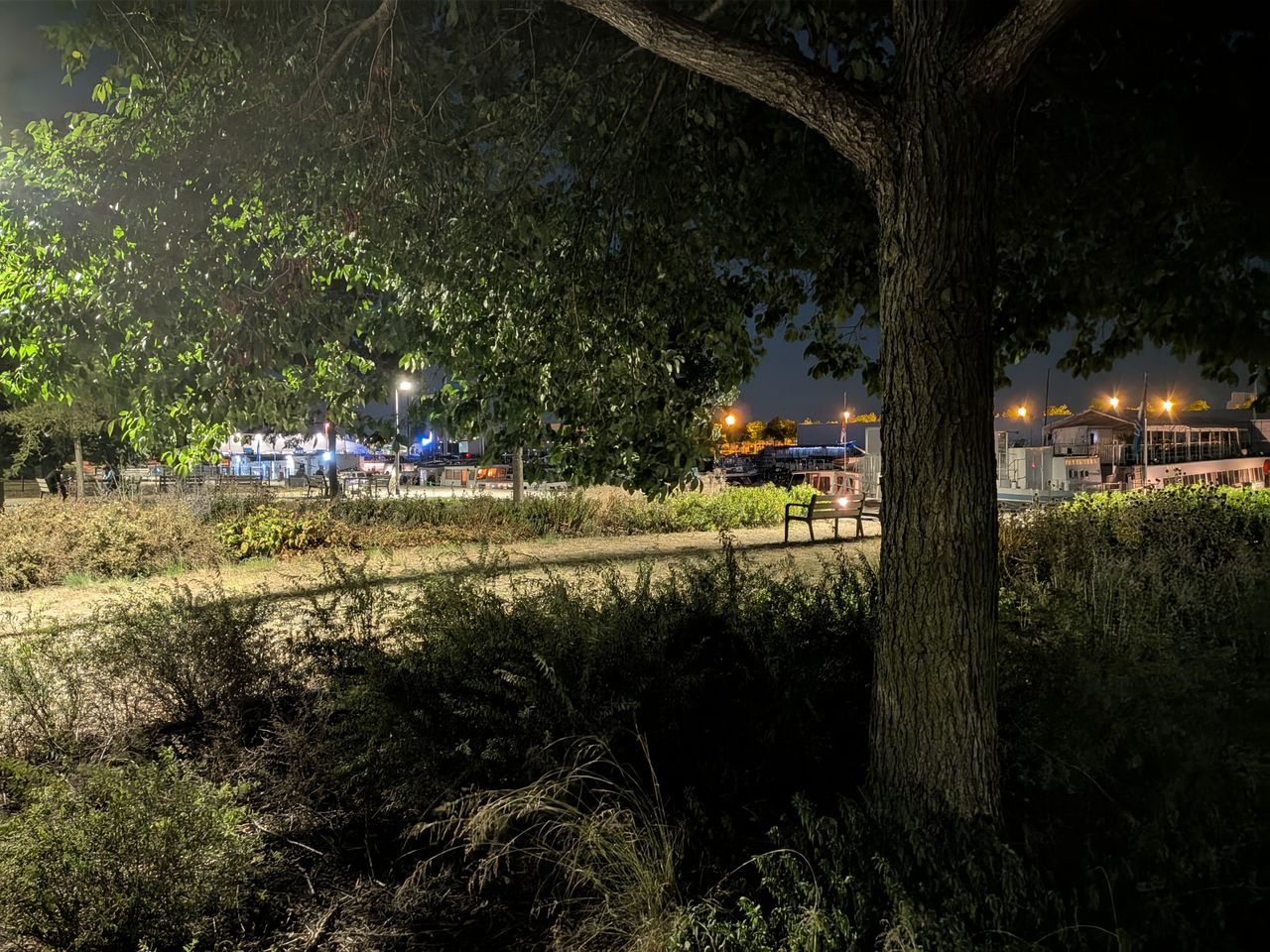 Google Pixel 10 Pro voorbeeldfoto