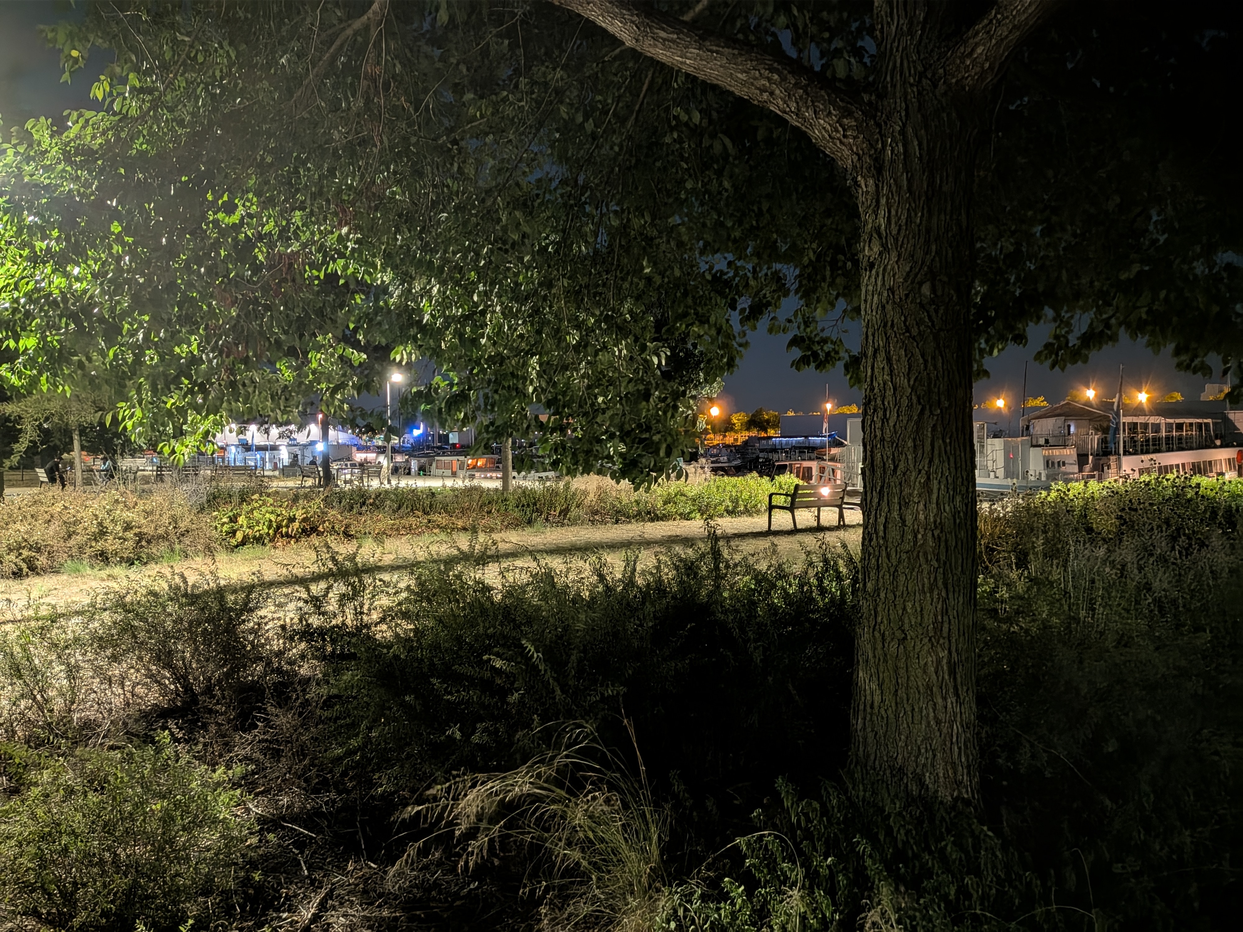 Google Pixel 10 Pro voorbeeldfoto