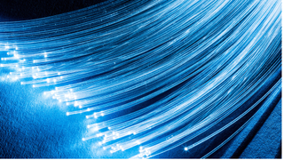 A bundle of blue fiber optic cables. 
