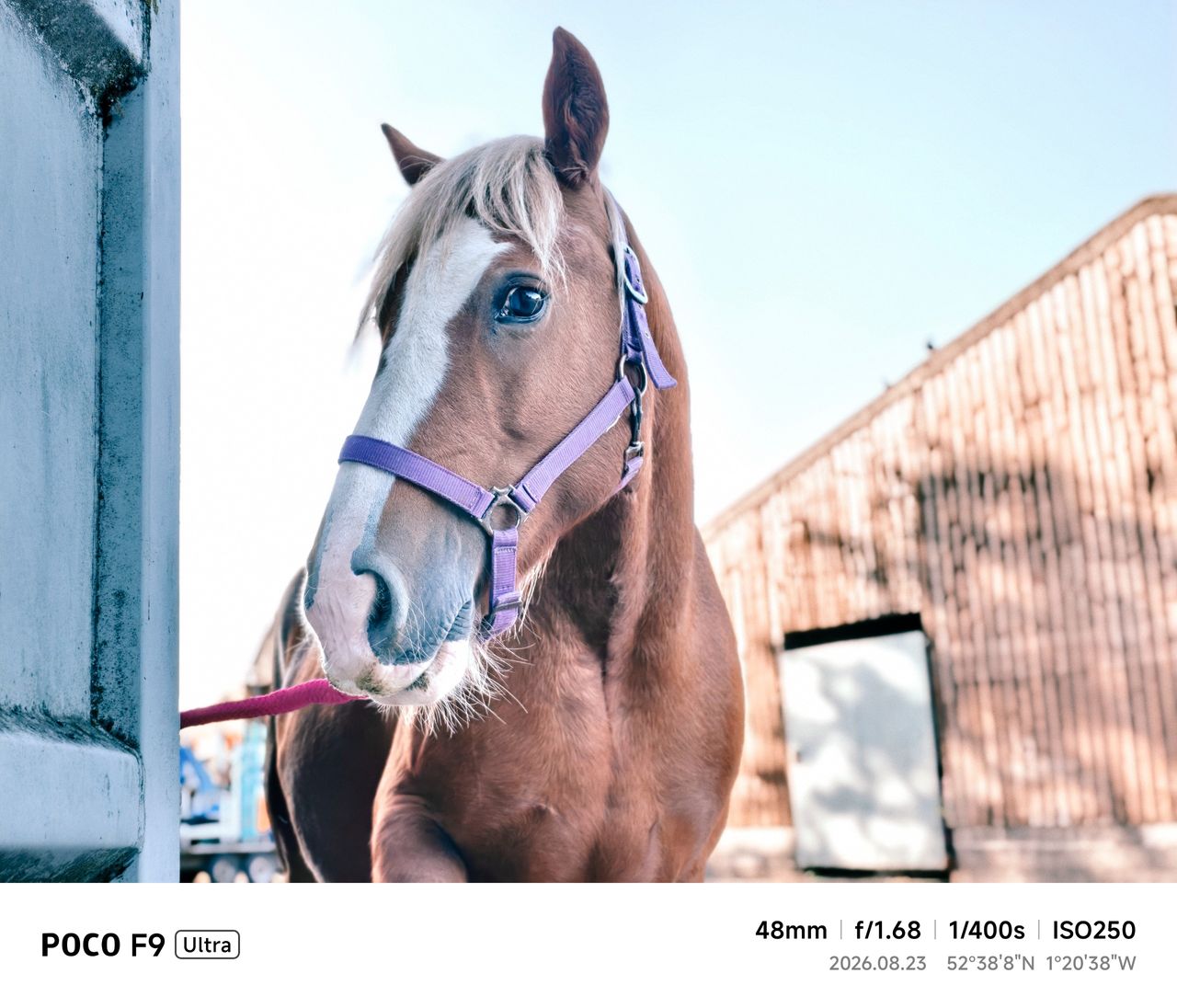 Poco F9 Ultra sample images