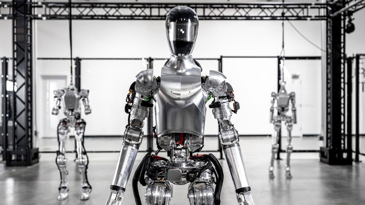 'We face high risk and extremely low chances of success' notes humanoid robot company Figure AI that just got millions from Bezos, OpenAI, and Nvidia