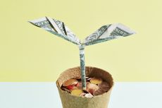 Origami dollar seedling growing in a flower pot of coins.