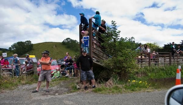 People at the local farmer's market took up every vantage point to watch the race pass by.