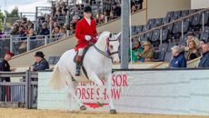 Will Morton and Monarch In The Mist land the 2026 Royal Windsor cob championship