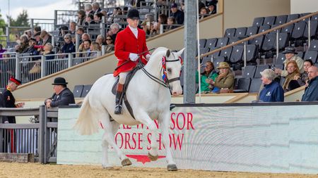 Will Morton and Monarch In The Mist land the 2026 Royal Windsor cob championship