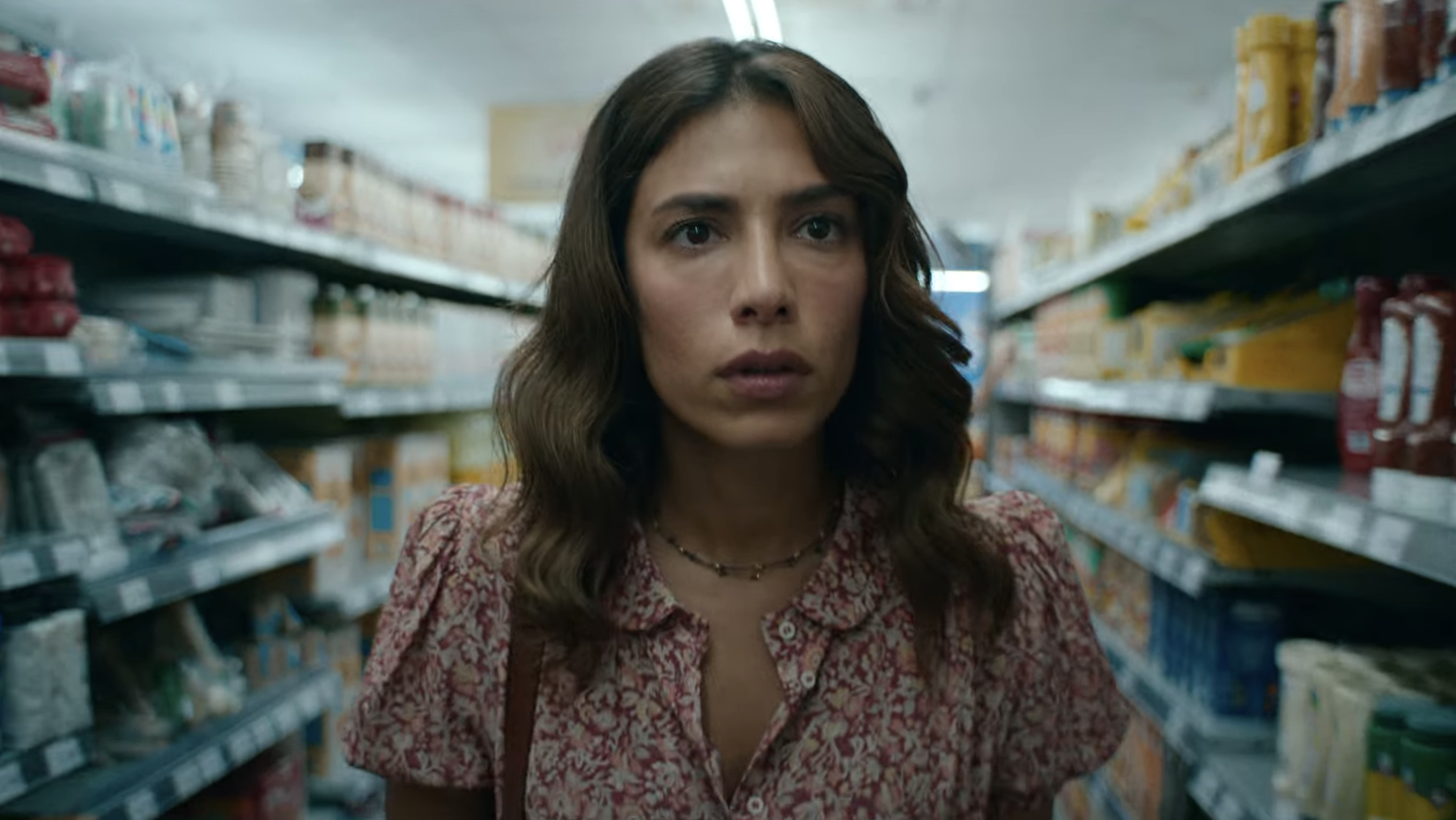 Who is Erin Carter Trailer Previews Netflix's Next Action Thriller Series
