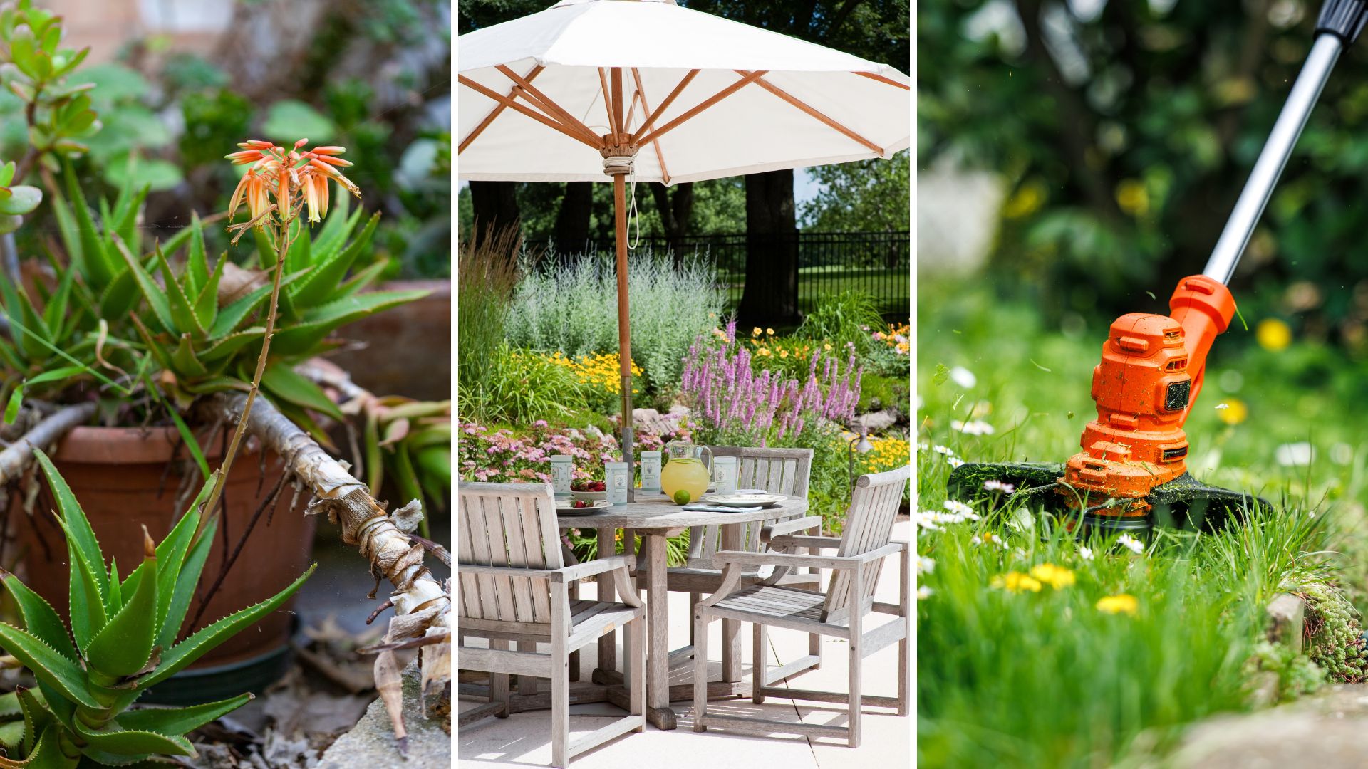 composite of three images all showing ways to cool your garden 
