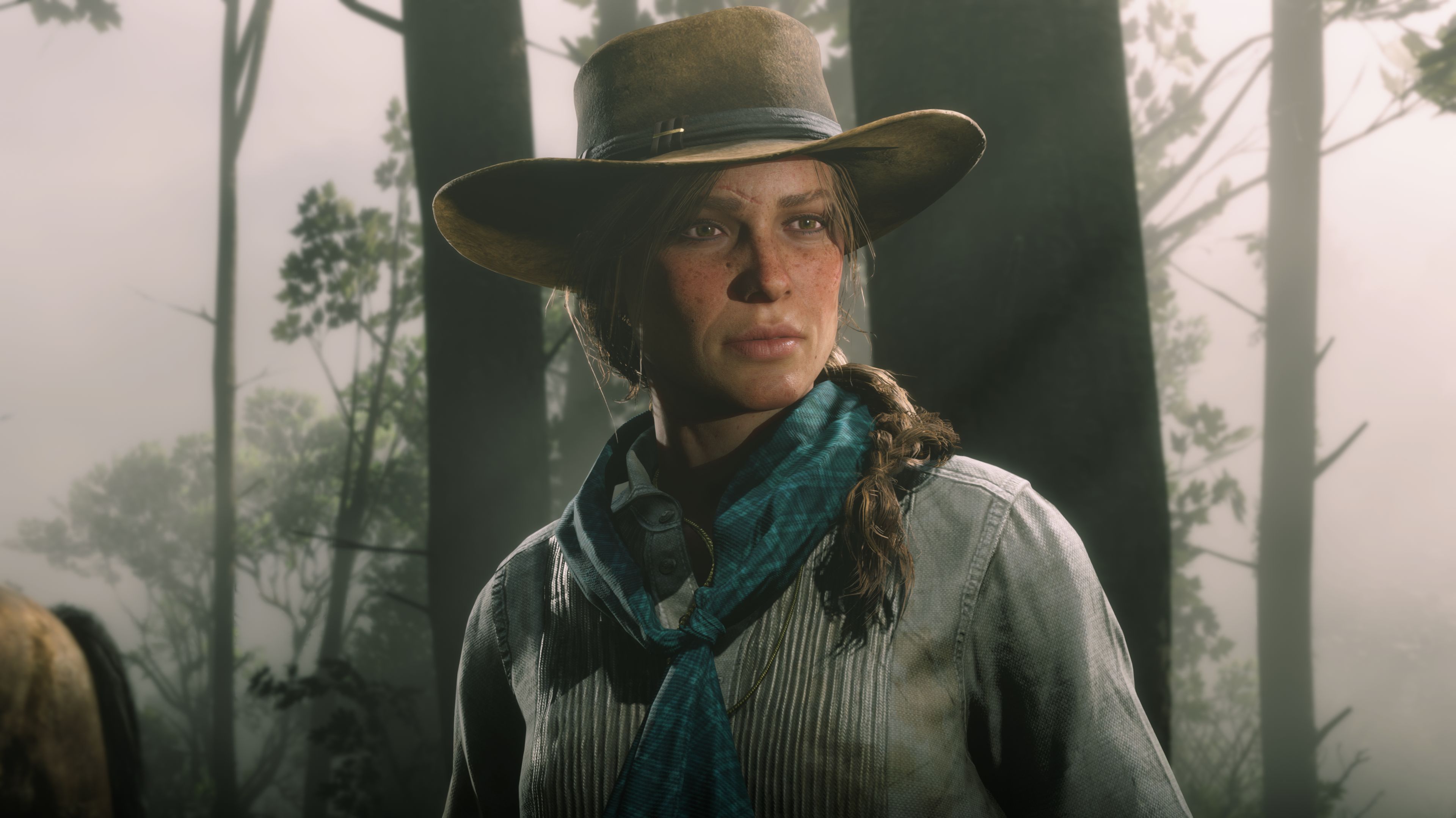 Red Dead Redemption 2 system PC features revealed PC Gamer