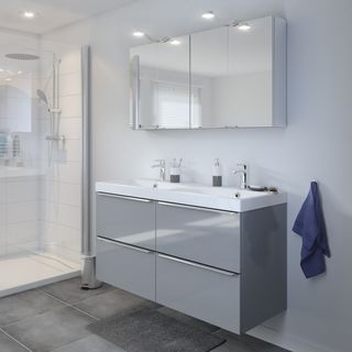 mirrored wall cabinet bathroom storage