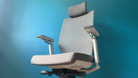 Flexispot OC13 chair