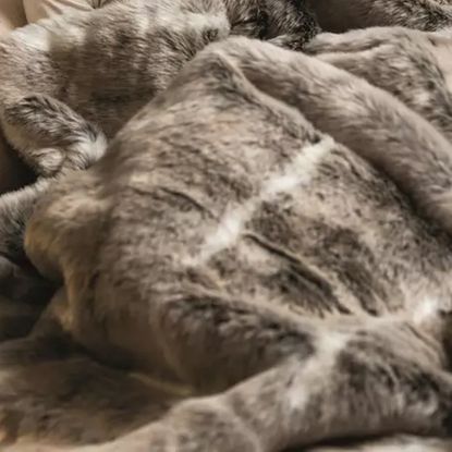 Dreamland Luxury Faux Fur Heated Throw