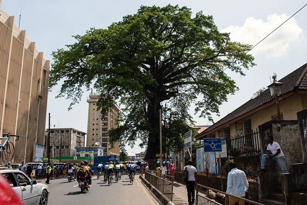 The Peloton passes under the Cotton Tree in the centre of Freetown. According to legend, the "Cotton Tree" gained importance in 1792 when a group of former African American slaves who had gained their freedom settled the site of modern Freetown.