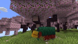 Minecraft - A sniffer stands beneath pink leaved cherry blossom trees