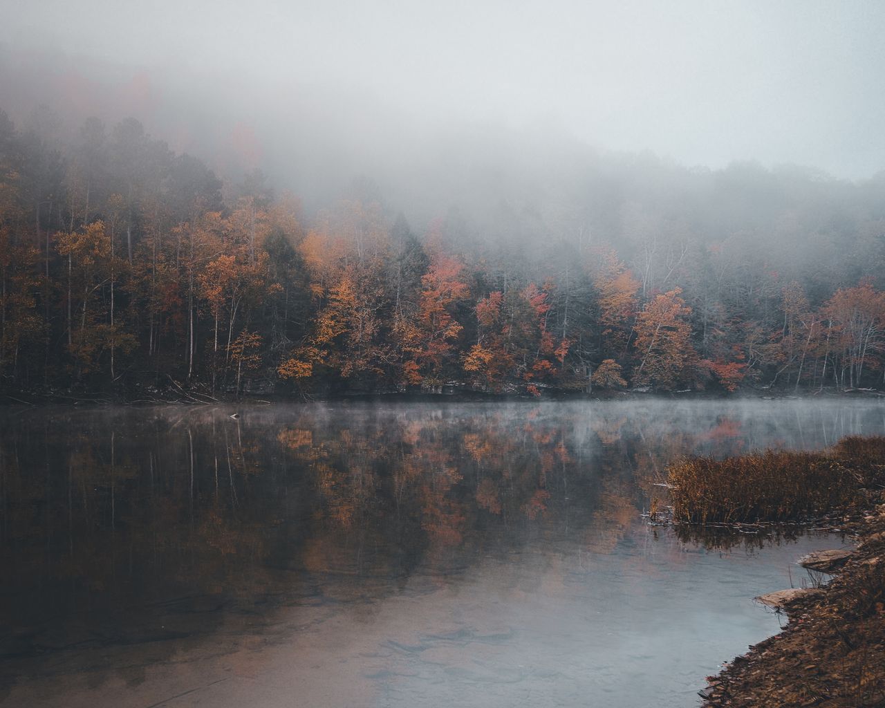 GuruShots - Vivid Landscapes March 2026