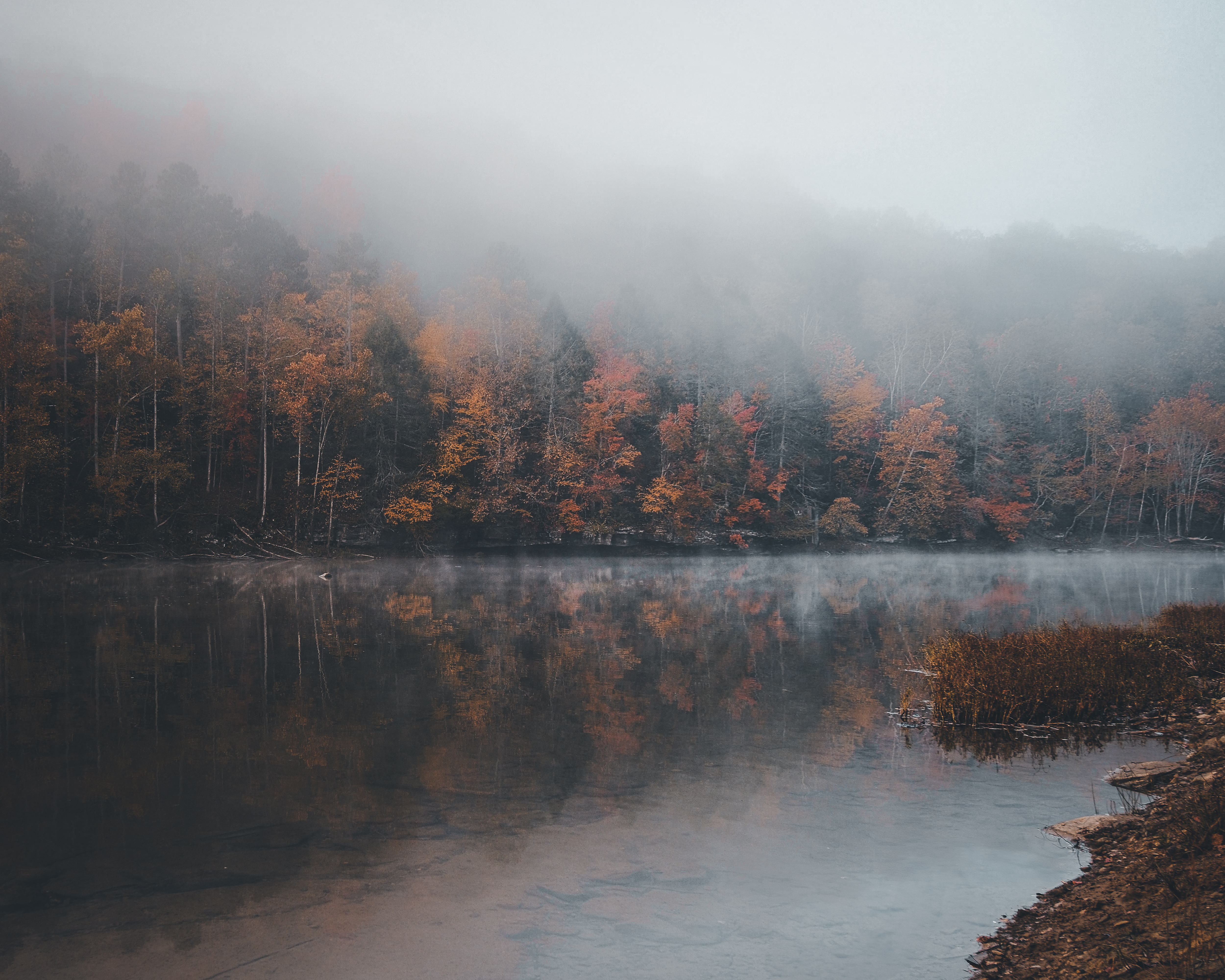 GuruShots - Vivid Landscapes March 2026