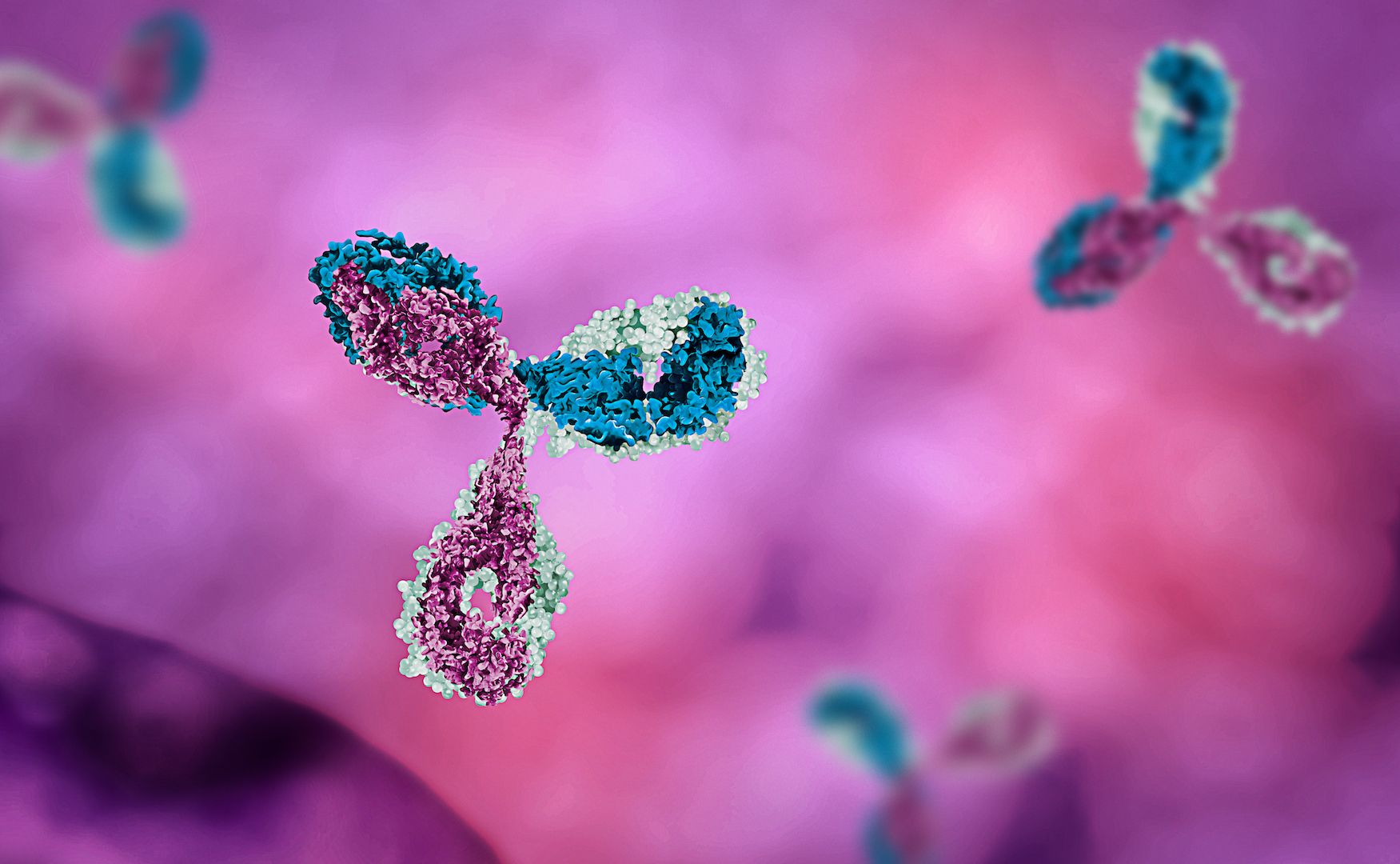 Illustration of Y shaped antibody proteins