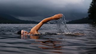 person swimming in a lake