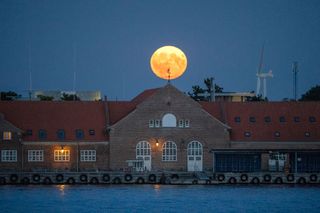 in the foreground is a large building with water in front and a large orange yellow moon in the sky behind.