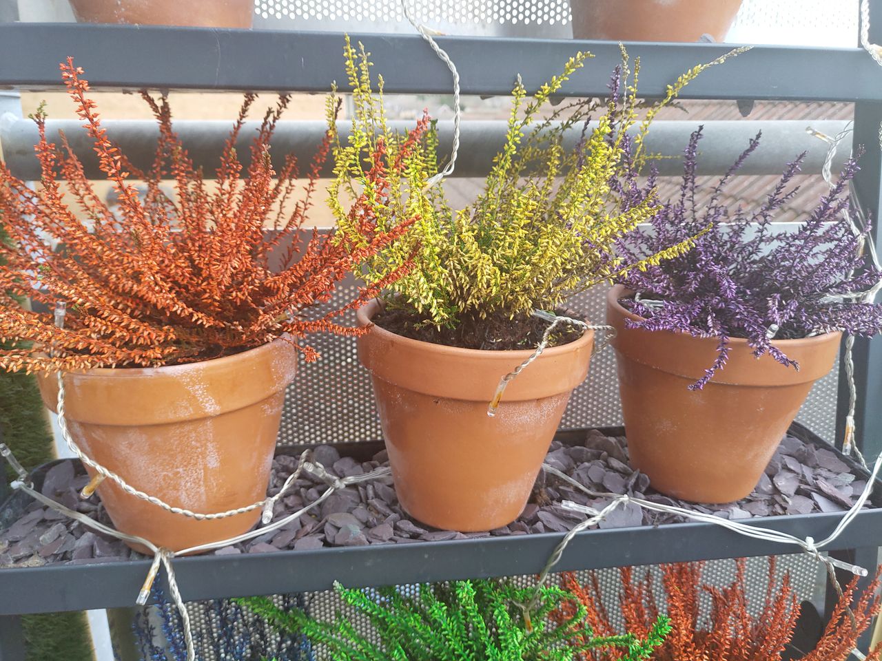 Colors are replicated well by the Nokia 8.1 camera and we found this shot to be reflective of real life.